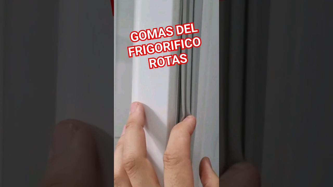 Reparación rápida de una balda suelta del frigorífico